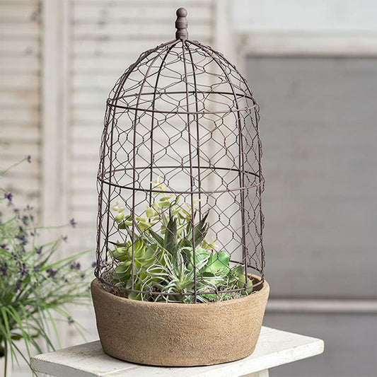 Chicken Wire Cloche with Terra Cotta Pot and Saucer